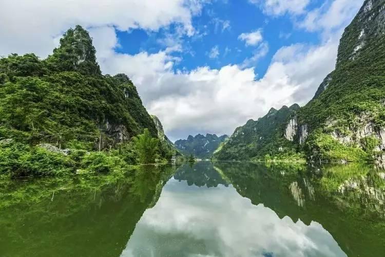 救援怒吼的狮子